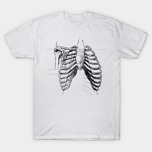 Ribcage bones T-Shirt by chris@christinearnold.com